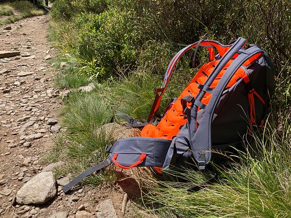 Plecak Salewa Mountain Trainer 2 28 Man - system pleców dobrze wentyluje, a dzielone szelki zapewniają większą oddychalność i wygodę